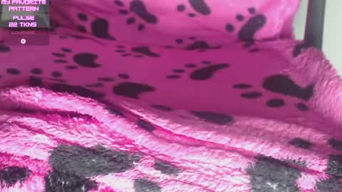 Kevin online show from April 15, 2:48 am