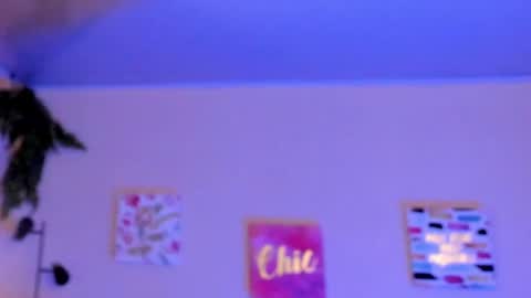 Adhara.   Help me reach 100 likes online show from February 23, 9:44 am