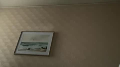 khelt online show from February 6, 1:47 pm