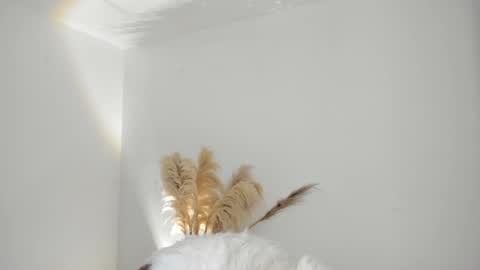 Kim Murphy online show from October 18, 12:31 pm