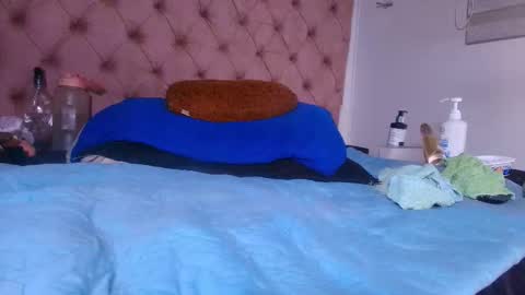 Bella online show from November 8, 3:20 am