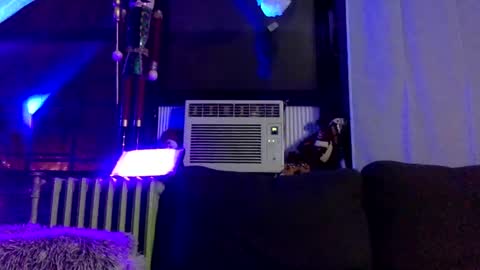 Snapshot of kinglibra420 chatting on January 11, 5:20 am loyal fuck online show from January 11, 5:20 am