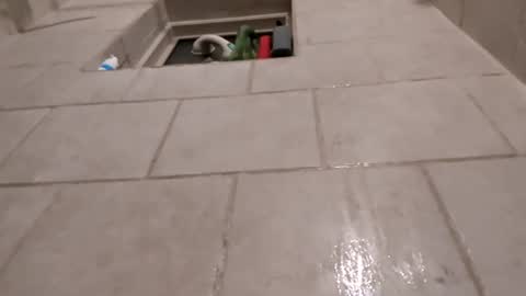 kinks4every1 online show from February 22, 8:51 am