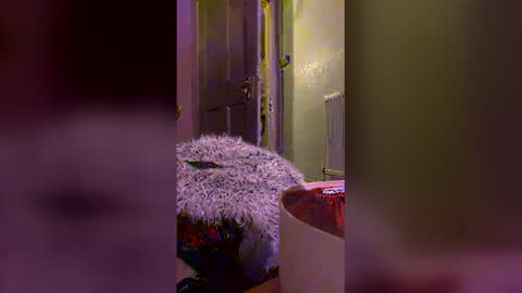 Kinky Boots x online show from February 18, 1:05 am