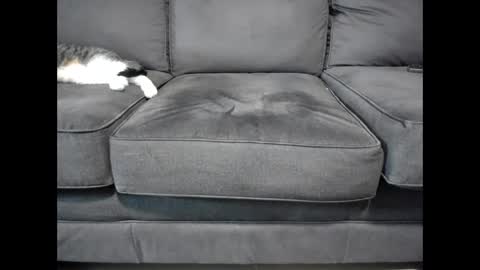 Kinky online show from September 10, 1:34 pm