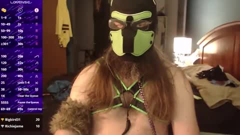 kinkywolf87 online show from September 17, 3:48 pm