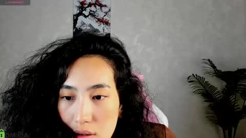 Aura online show from November 19, 3:06 am