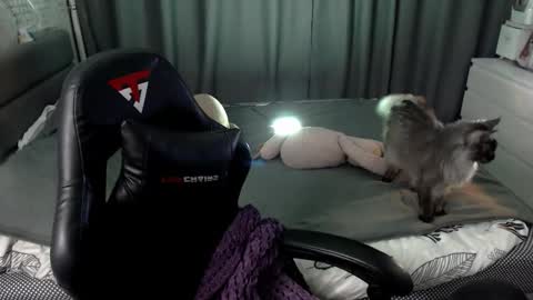 Kira  follow me  online show from February 8, 10:02 pm