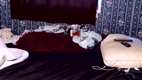 kittenkayla26 online show from April 9, 3:18 pm