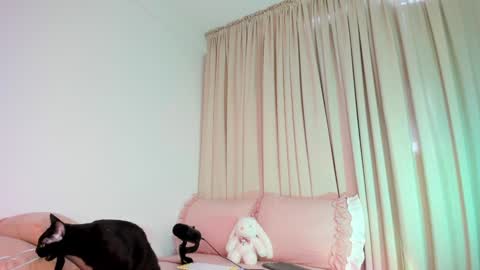 sophie online show from October 15, 2:29 pm