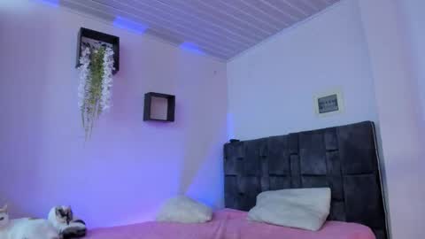 kitty  online show from February 20, 2:52 pm