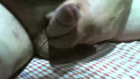 klok8230 online show from November 19, 2:55 am