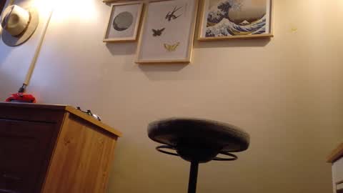 kluck1175 online show from March 2, 7:37 am