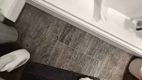 kristian2020 online show from December 5, 1:53 am