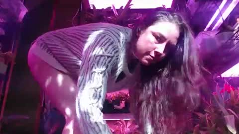 krookedorchid online show from October 25, 4:07 pm