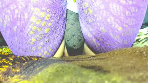 kryxtal online show from March 19, 8:25 pm