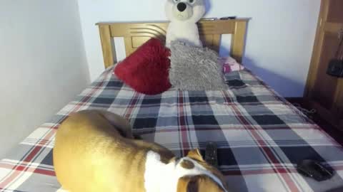 Akyra  online show from October 25, 1:11 pm