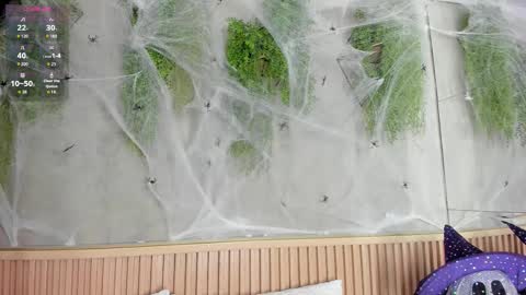 lana_lann online show from October 27, 11:54 am