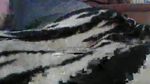 ledmax07 online show from April 13, 1:21 am