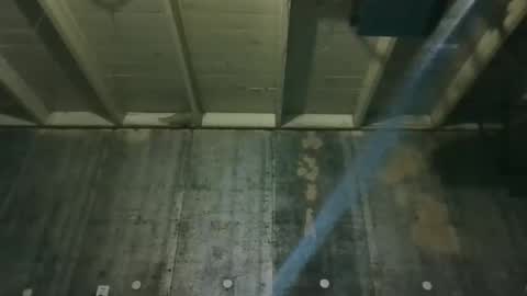 leo199984 online show from February 4, 3:43 am