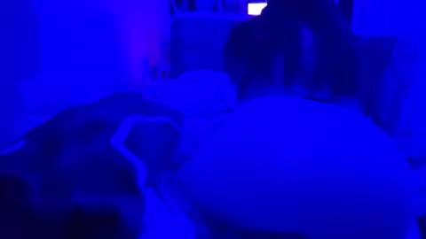 leothegirl88 online show from June 16, 11:58 am