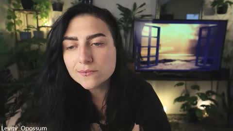 Levity online show from February 26, 11:08 pm