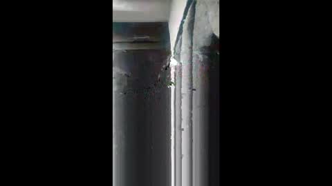 Leydy  online show from March 12, 11:36 am