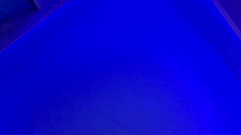 LickYourYoni online show from December 28, 4:09 pm