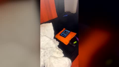 FreakyLilEbony coupleSEX online show from February 12, 5:55 am
