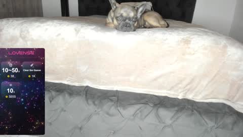 Lilith Parker online show from January 22, 1:20 am