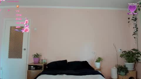 LILY online show from September 15, 12:17 pm