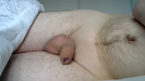 lion2662 online show from January 3, 10:41 am