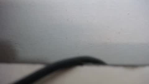 lisa_branch online show from September 20, 10:29 am