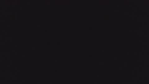 Little Rory online show from January 8, 1:06 pm