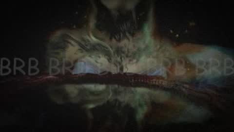 Niki  free tg channel with some photos gifs and info about streams  online show from February 2, 7:41 am