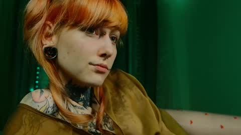 Niki  free tg channel with some photos gifs and info about streams  online show from February 14, 8:05 pm