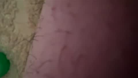 Little Tj online show from February 24, 5:38 pm