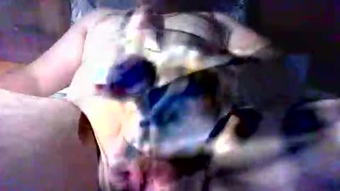 litwinpaweel online show from November 20, 8:06 pm