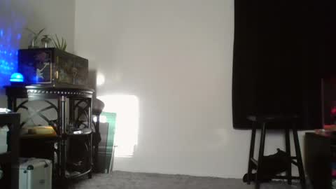 Liv Mirage online show from September 11, 12:56 am