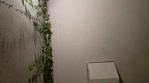 longdick3587 online show from February 17, 5:14 am