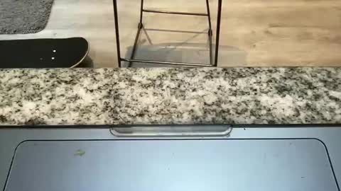 longnhard99 online show from October 19, 1:27 pm