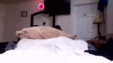 lookatmecum4you online show from October 17, 8:29 am