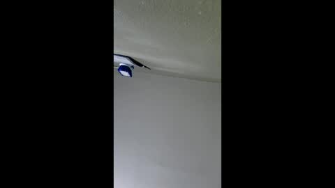 2791 3D online show from January 10, 8:31 am