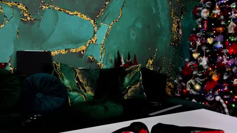 Snapshot of lorawarnner chatting on December 13, 5:21 pm Miss online show from December 13, 5:21 pm