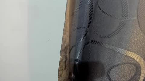 lotto_bloom online show from January 14, 12:35 pm