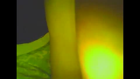 PleasureX online show from March 6, 8:30 am