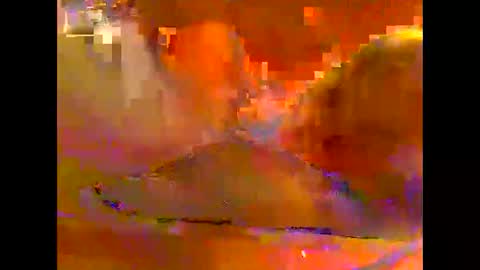lovebird1956 online show from May 31, 4:11 am