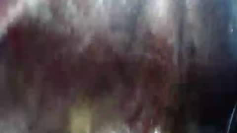 Mature lover2 online show from February 21, 10:37 pm