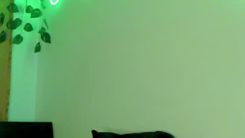 Jenn online show from April 15, 6:33 pm