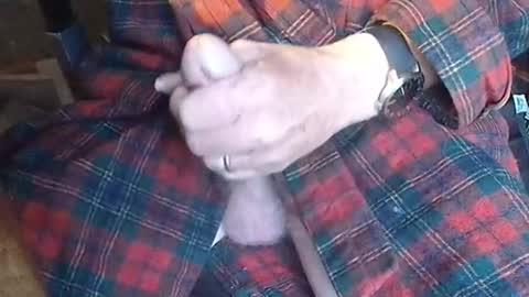 BIG Daddy cock. Tips make it harder  online show from May 23, 9:27 am